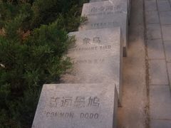 -北京麋鹿生态实验中心