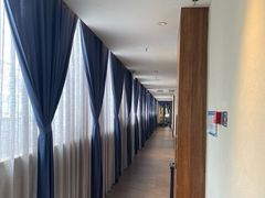 -甘家界牌柠檬鸭(青山店)