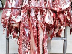 -胡世羊肉汤(南街店)