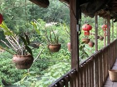 -傣泐金湾餐厅
