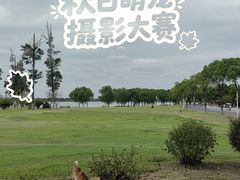 -漕湖湿地公园