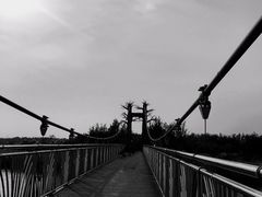 -西青郊野公园