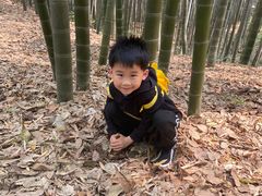 -杭州黄龙洞