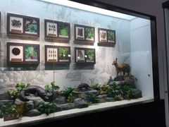 -中国药科大学（江宁校区）-图书馆