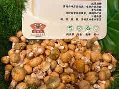 -福照楼汽锅鸡·云南菜(护国路店)