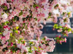 -元大都城垣遗址公园