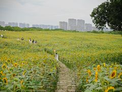 -苏州湾体育公园