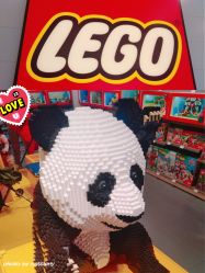 -kidsland(上海环球港店)