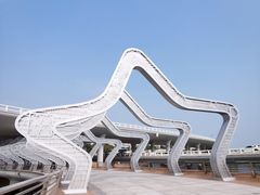 -演武大桥观景平台