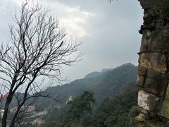 -缙云山景区