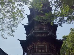 -上海佘山国家森林公园西佘山园