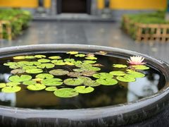 -上海青龙寺