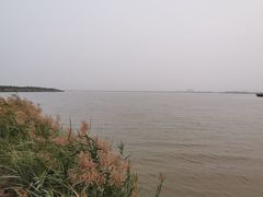 -天津东丽湖风景区