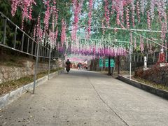 -北京十三陵国家森林公园蟒山景区