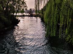 -济南大明湖景区