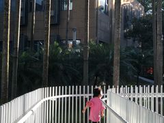 -四海公园(南山区)