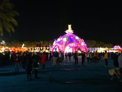 -欢乐海岸椰林沙滩-2025湾区超级灯会
