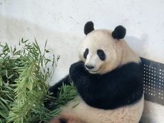 -杭州动物园