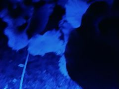 -小王府(什刹海店)