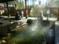 -西安国际创新人才交流中心•药浴温泉