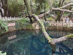 -蝴蝶泉公园