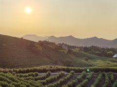 -帐篷客·溪龙茶谷度假酒店