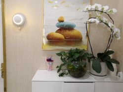 -CICI纤美·科技减肥美容