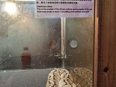 -上海大自然野生昆虫馆(东方明珠·爬宠昆虫探索中心)
