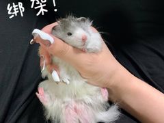 -邦泰·异宠动物医院