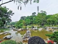 -东莞植物园