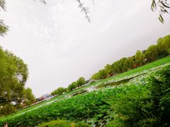 -长春市南湖公园