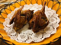 -百利鸽王(紫薇路店)