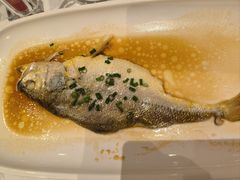 -醉辉皇原味海鲜江南菜(成都大魔方店)