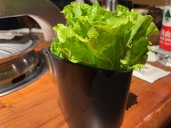 -九田家黑牛烤肉料理(新辰里亚运村店)