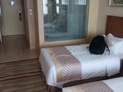 -电谷雅阁国际大酒店