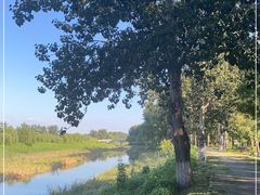 -东郊湿地公园