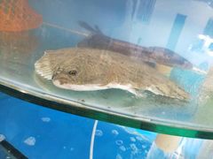 -晓伟海鲜家常菜