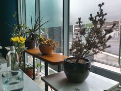 靠窗位-半山腰·云南菜(侨福芳草地店)