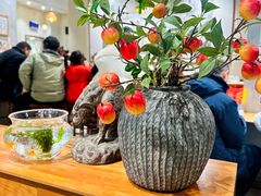 -小豆海棠(人民南路店)