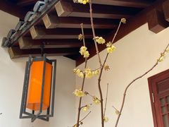 -香积寺