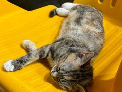 -大东海海鲜酒楼(渔人码头总店)