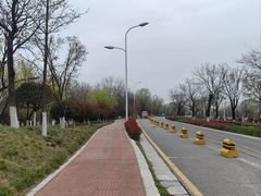 -Supine Bistro溯泮餐厅