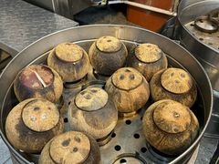 -達揚原味燉品(文明路店)