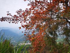 -广州市石门国家森林公园