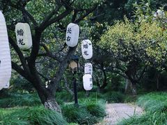 -白马涧龙池景区