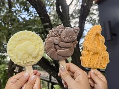-云南野生动物园
