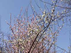 -木塔寺遗址生态公园