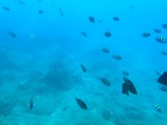 -亚龙湾海底世界