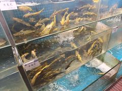 -胖姐渔村(中源大道店)
