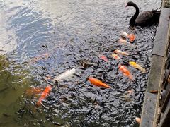-珠海圆明新园